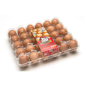 Ovotherm - Traypack 1x30